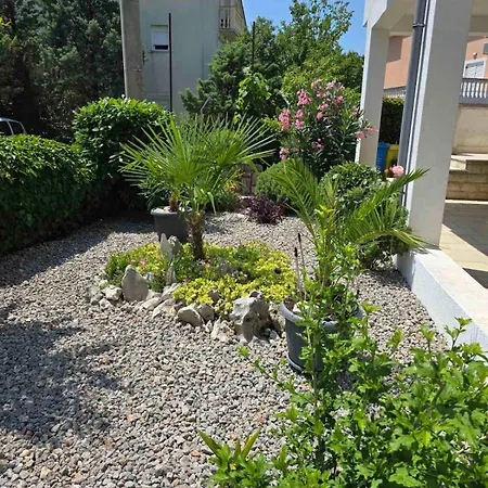 Knezevic Apartman *