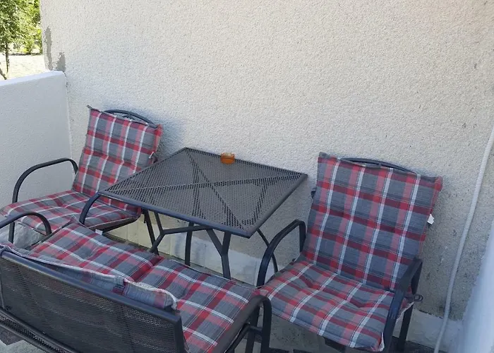 Knezevic * 卓得诺沃