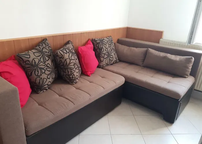 Knezevic * 卓得诺沃