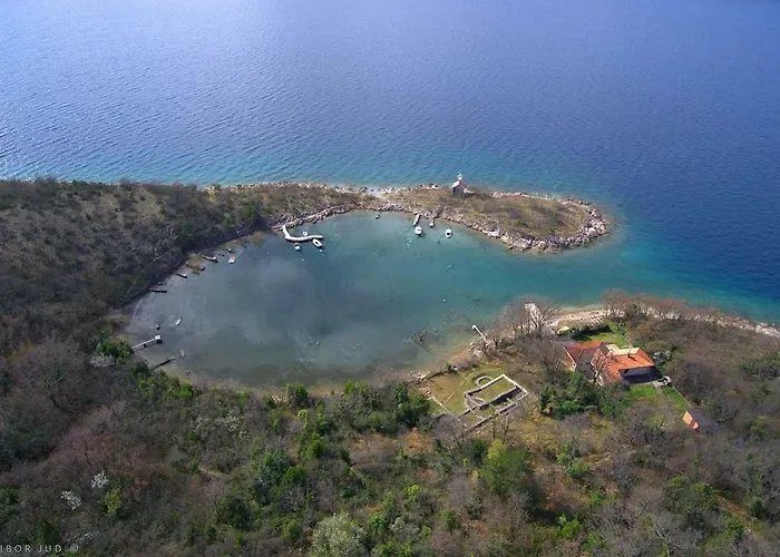 Knezevic * 卓得诺沃