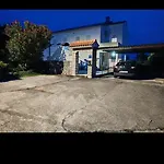 Knezevic