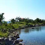 Knezevic