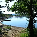 Knezevic