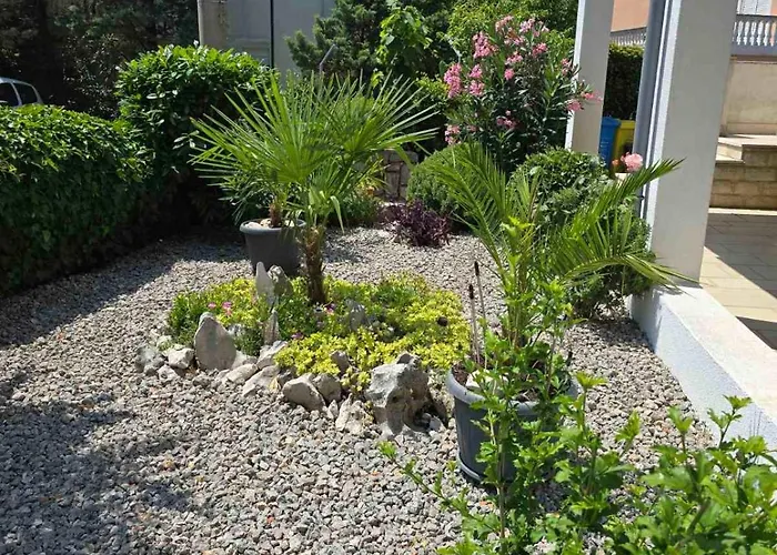 Knezevic Apartman *